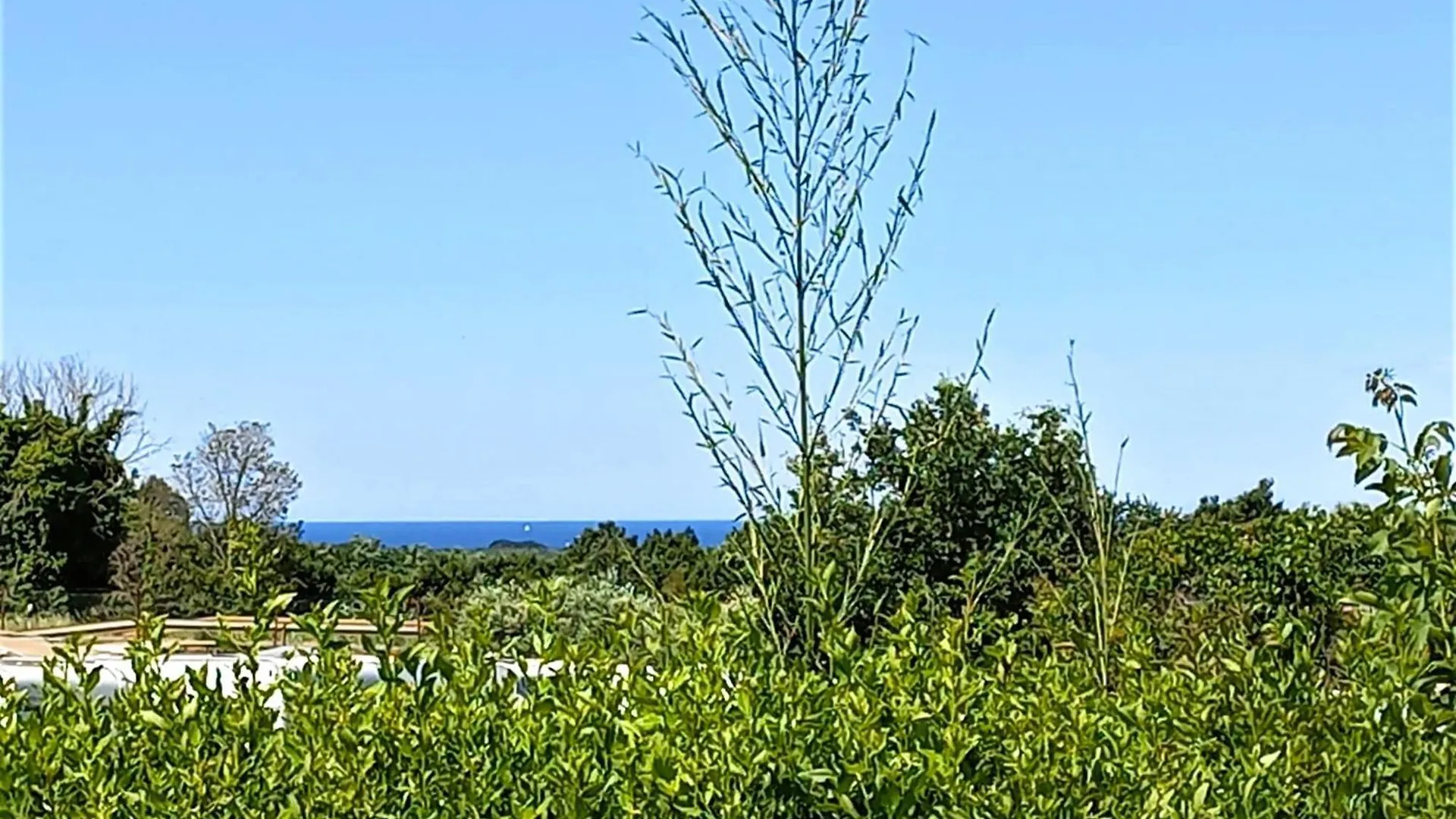 Villa Casa B Mit Meerblick Und Pool Tar-Vabriga